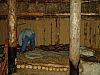 DSC05805.jpg